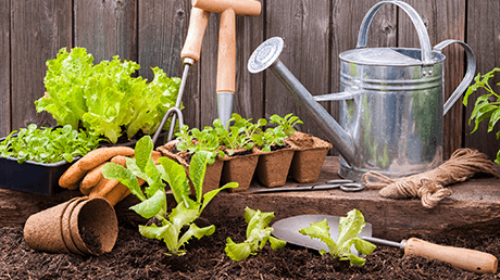 Comment faire un jardin à la fois abondant et enrichissant?